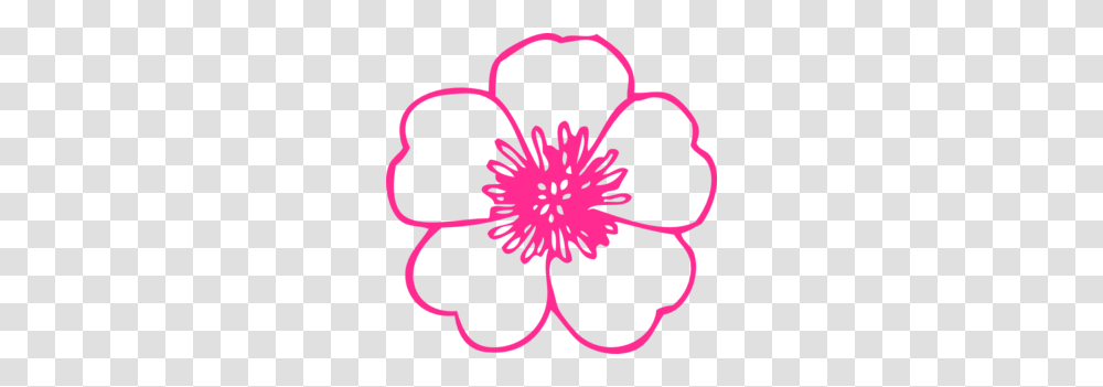 Flower Clip Art, Plant, Hibiscus, Blossom, Petal Transparent Png