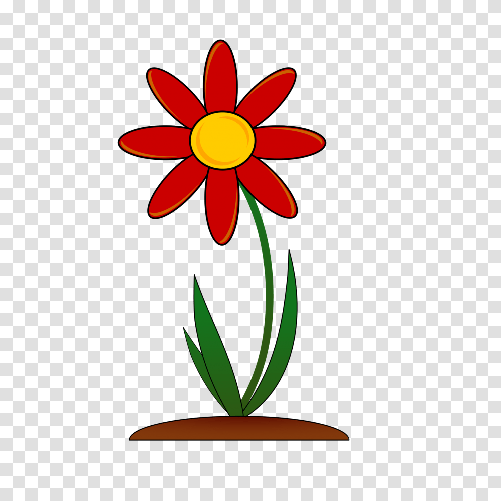 Flower Clip Art, Plant, Lamp, Daisy, Daisies Transparent Png