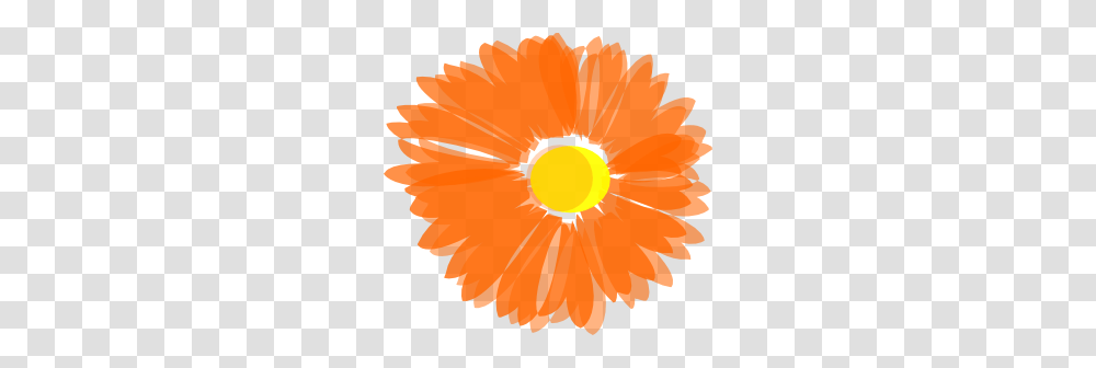 Flower Clip Art, Sky, Outdoors, Nature, Sun Transparent Png