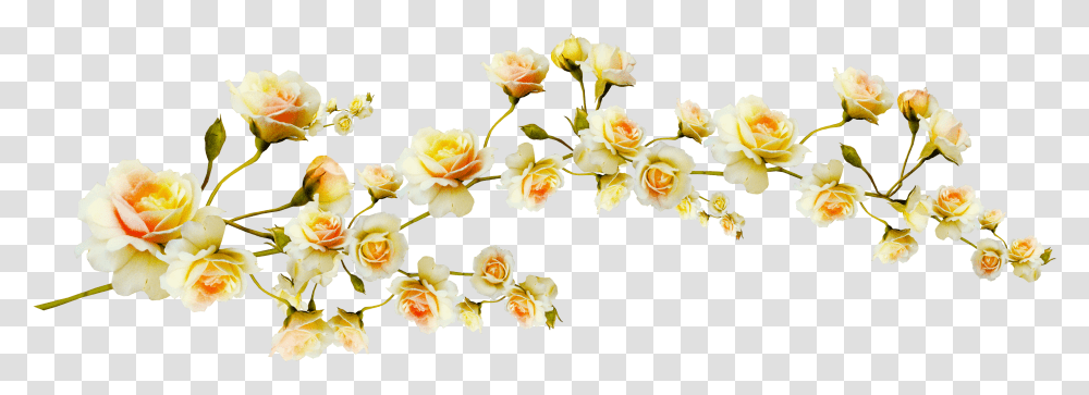 Flower Clip Art Yellow Flowers Aesthetic, Plant, Blossom, Rose, Petal Transparent Png