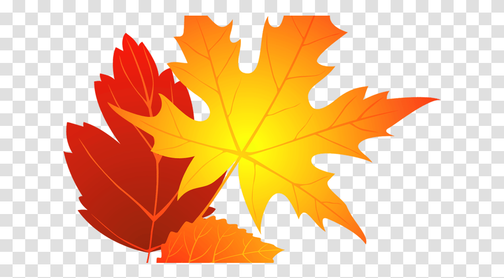 Flower Clipart Background Background Fall Leaf Clipart, Plant, Tree, Maple Leaf, Person Transparent Png