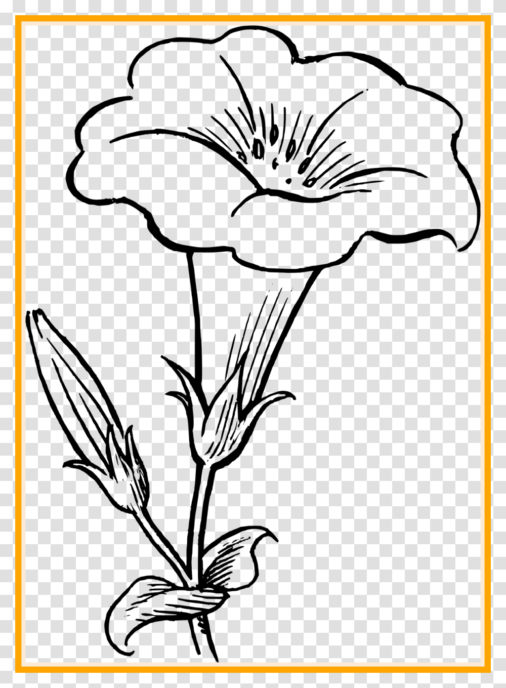 Flower Clipart Black And White, Plant, Screen, Electronics Transparent Png