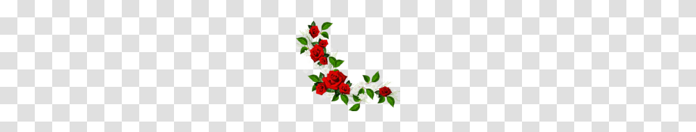 Flower Clipart Border Clip Art, Plant, Blossom, Rose, Flower Bouquet Transparent Png