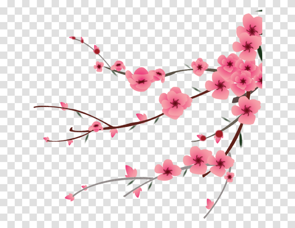 Flower Clipart Cherry Blossom Flower, Plant, Petal Transparent Png
