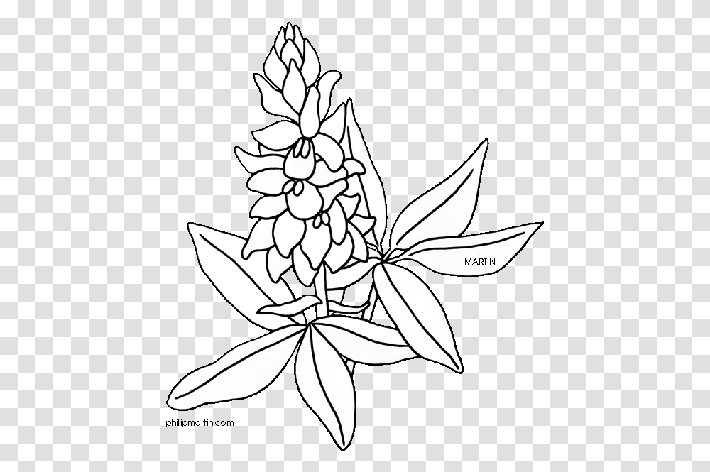 Flower Clipart Coloring, Plant, Blossom, Stencil, Floral Design Transparent Png