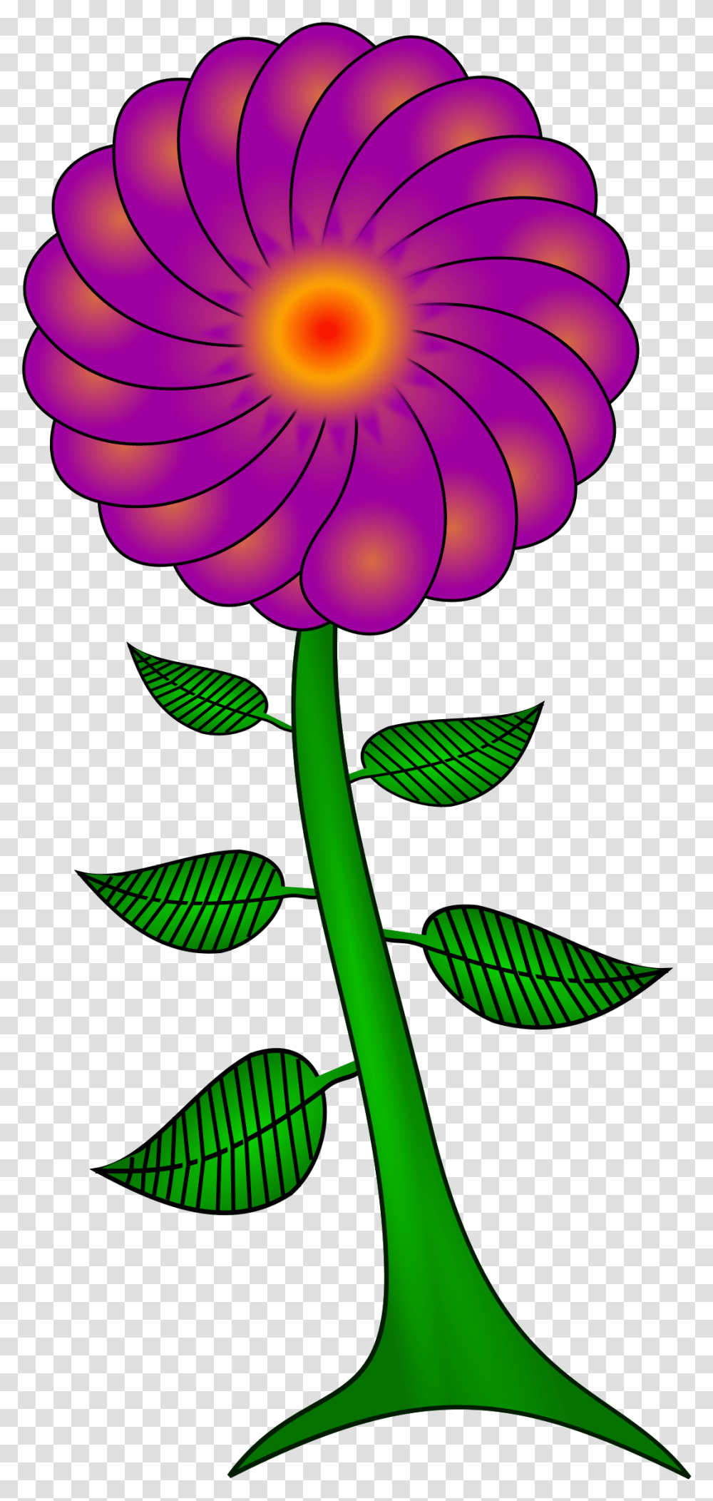 Flower Clipart Download Flower, Plant, Blossom, Petal, Daisy Transparent Png