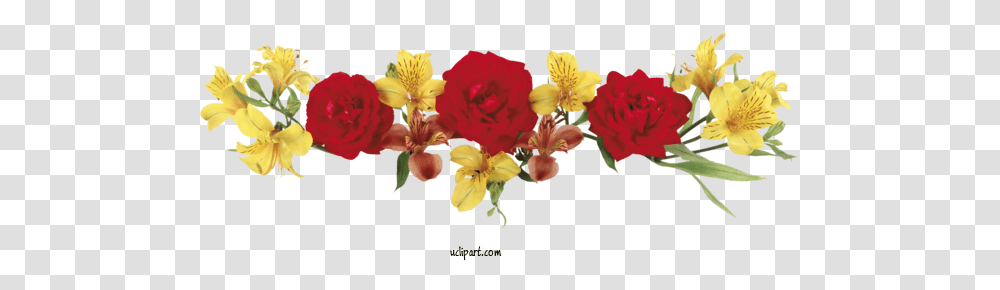 Flower Clipart Flowers Clip Art Drawing, Plant, Blossom, Geranium, Hibiscus Transparent Png