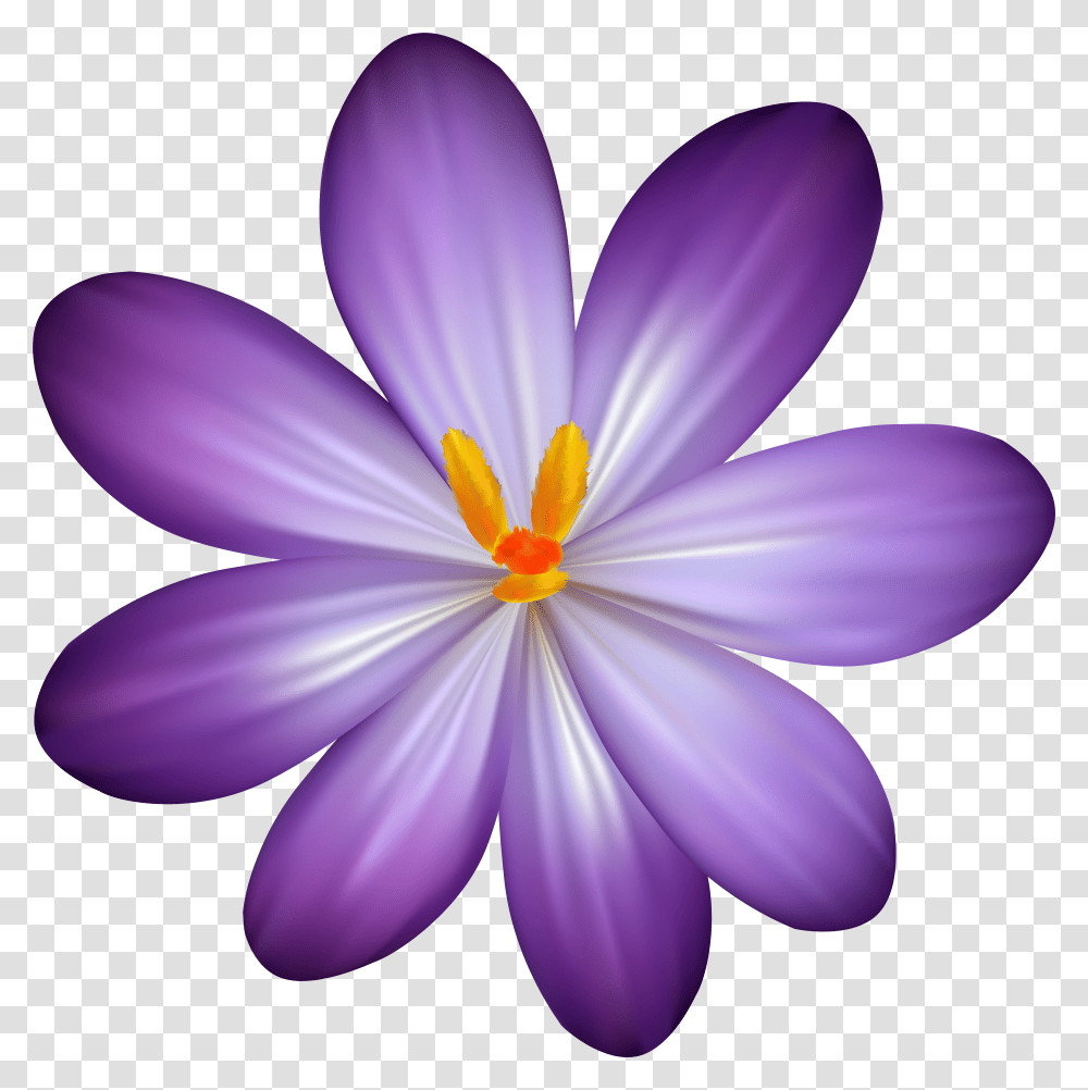 Flower Clipart Hawaiian Flowers Transparent Png