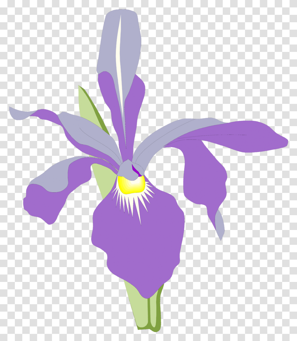 Flower Clipart Illustration Purple Orchids Clipart, Iris, Plant, Blossom, Petal Transparent Png