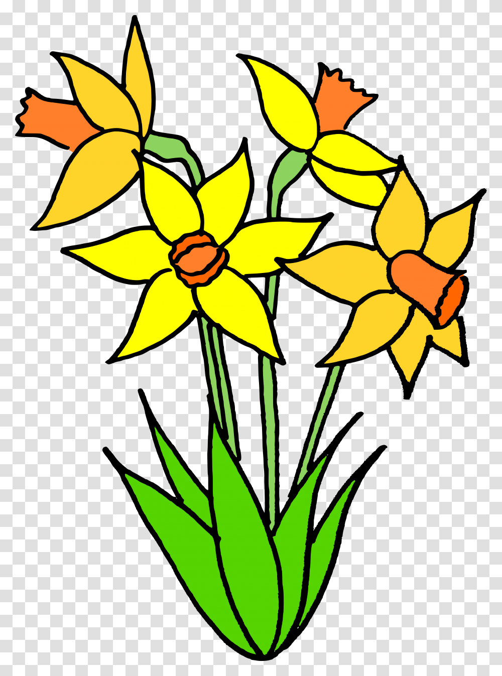 Flower Clipart Name Spring Bulb Clip Art, Plant, Blossom, Daffodil, Flower Arrangement Transparent Png