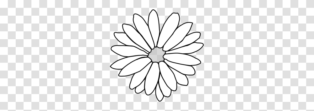 Flower Clipart Outline, Daisy, Plant, Daisies, Blossom Transparent Png