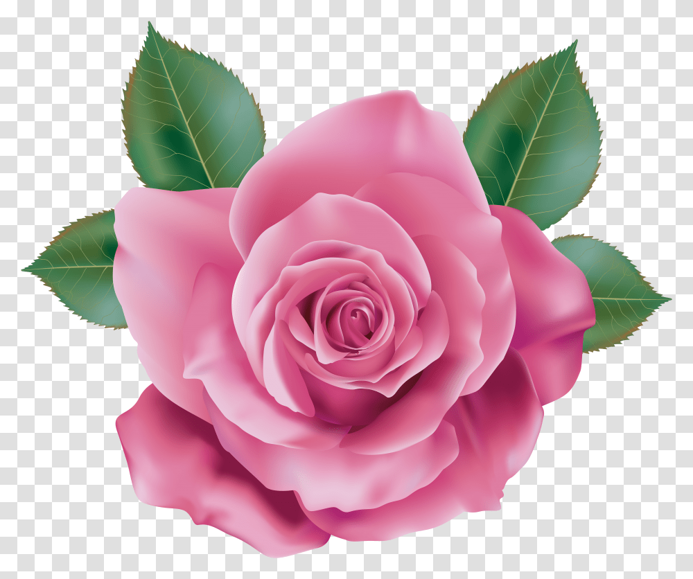 Flower Clipart Rose Clipart Candy Clipart Flower Pink Rose Transparent Png