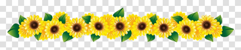 Flower Clipart Row Ftestickers Row Of Flowers, Plant, Daisy, Daisies, Blossom Transparent Png