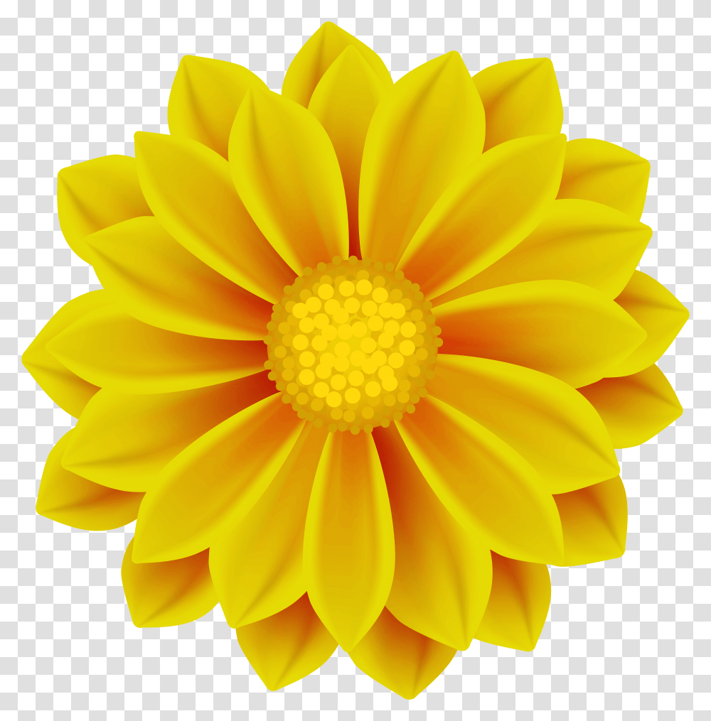 Flower Clipart Yellow Pictures, Plant, Blossom, Treasure Flower, Petal Transparent Png