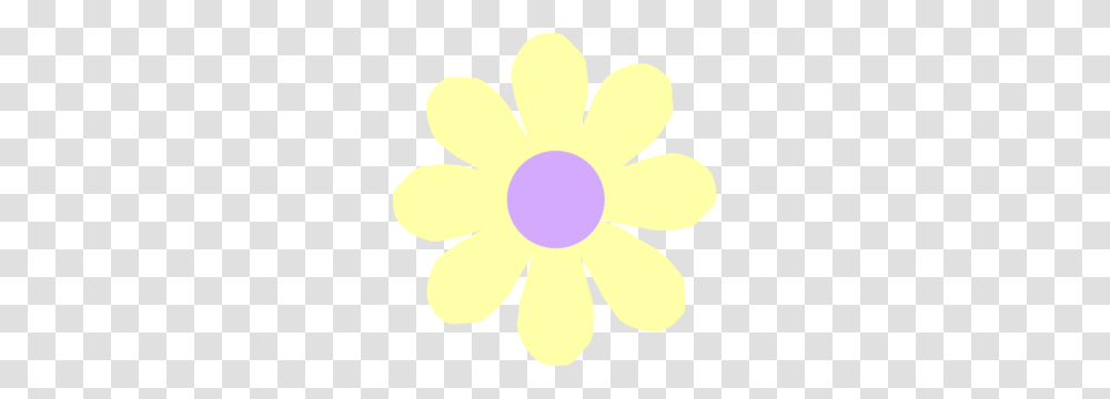 Flower Cliparts, Light, Pattern, Daisy, Plant Transparent Png