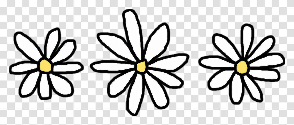 Flower Common Daisy Clip Art Transprent, Plant, Blossom, Daisies, Petal Transparent Png
