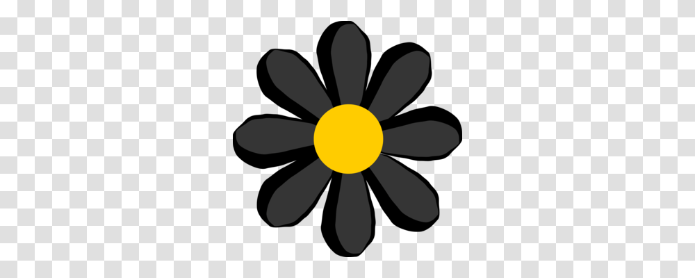 Flower Common Daisy Drawing Daisy Family Nature Story Free, Plant, Daisies, Blossom, Lamp Transparent Png
