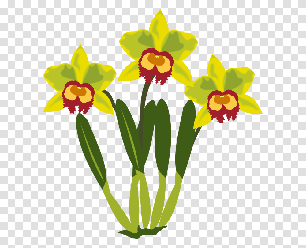 Flower Computer Icons Cattleya Orchids Paper Clip, Plant, Blossom, Daffodil, Anther Transparent Png