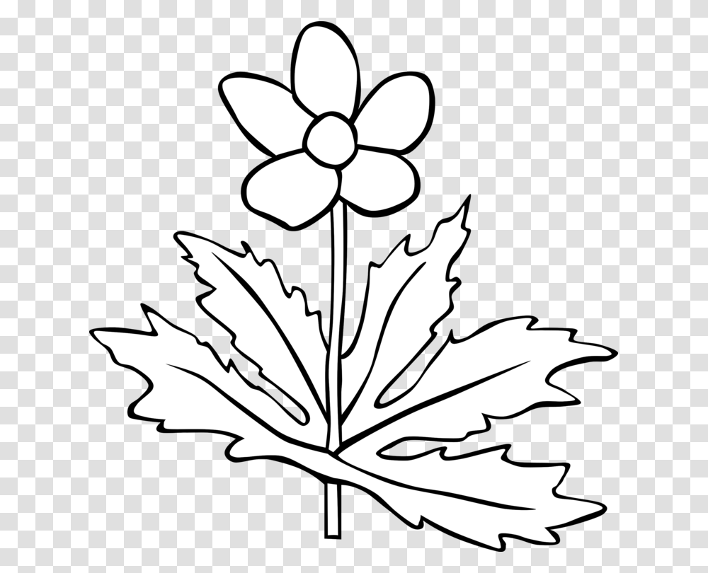 Flower Computer Icons Common Daisy Tulip Drawing, Leaf, Plant, Tree, Maple Leaf Transparent Png