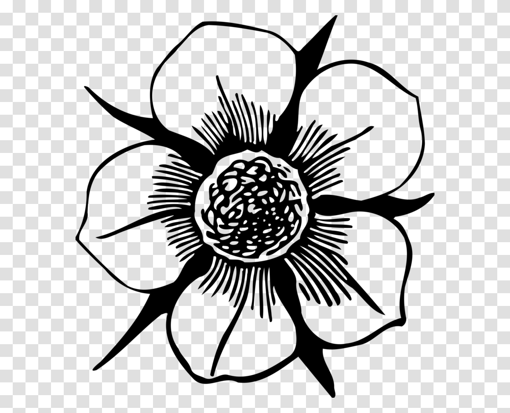 Flower Computer Icons Drawing Petal Download, Gray, World Of Warcraft Transparent Png