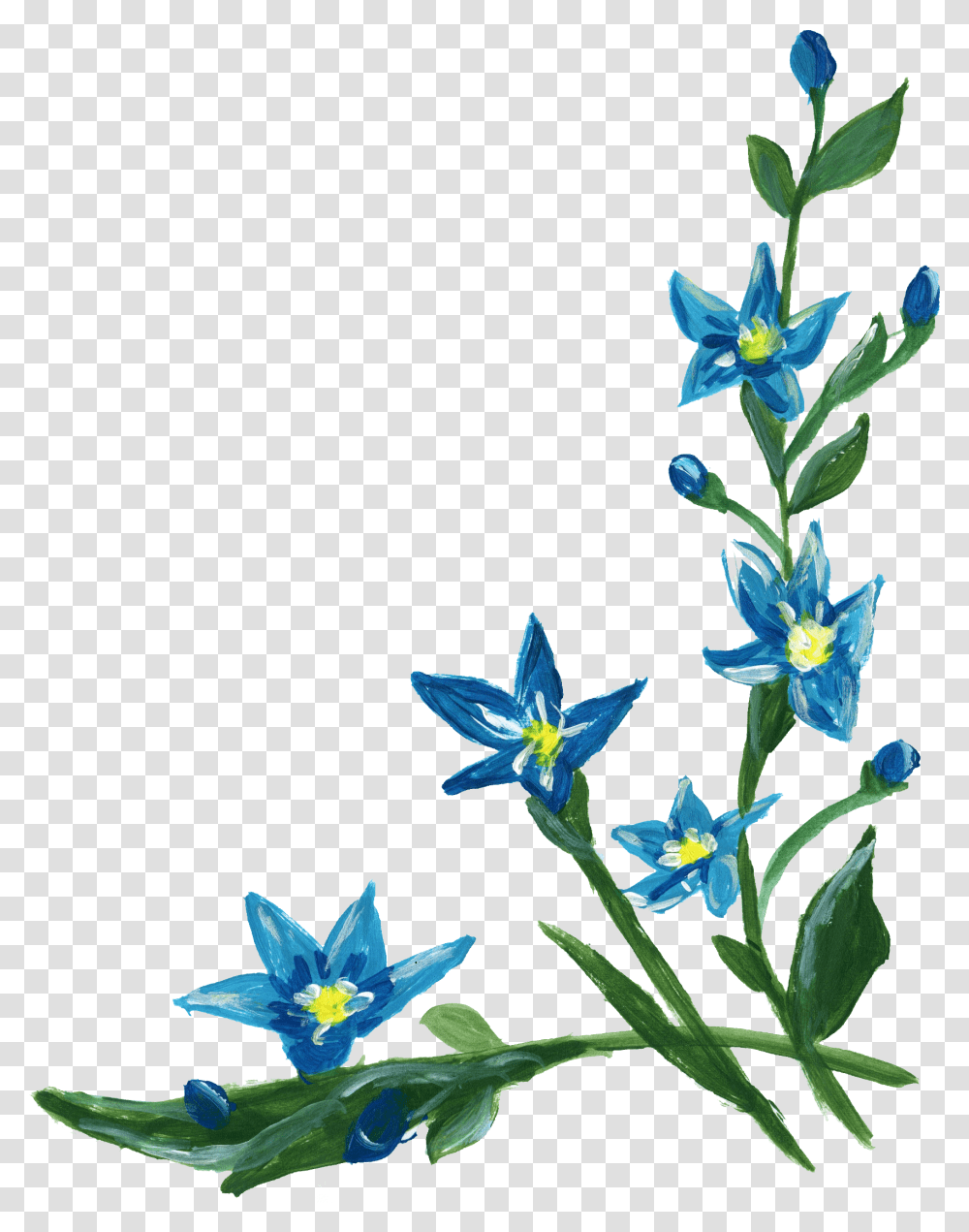 Flower Corner Border File Border Flowers Blue, Plant, Blossom, Acanthaceae, Iris Transparent Png