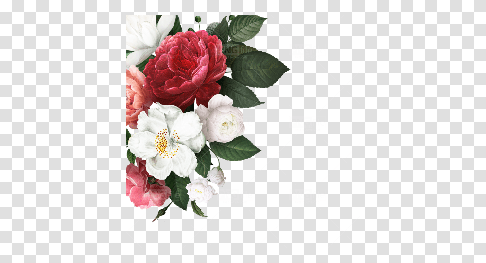 Flower Corner Design Free Download Floral Corner Design, Plant, Blossom, Flower Arrangement, Flower Bouquet Transparent Png