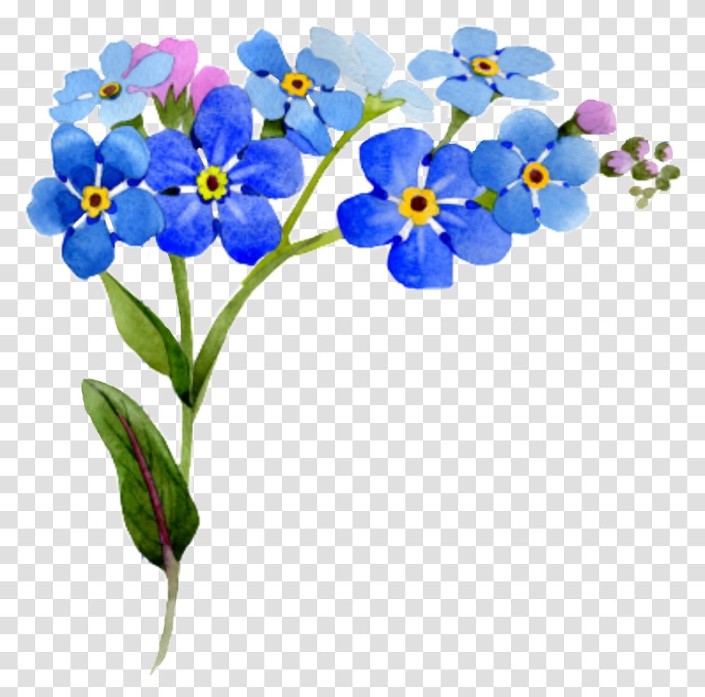 Flower Corner Interesting Nature Watercolor Blue Floral Flower Clipart Forget Me Not, Plant, Blossom, Iris, Anemone Transparent Png