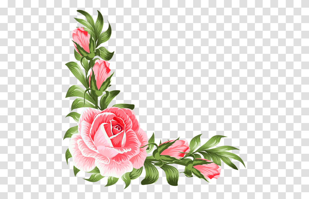 Flower Corner Picture 632112 Flower, Plant, Blossom, Carnation, Rose Transparent Png