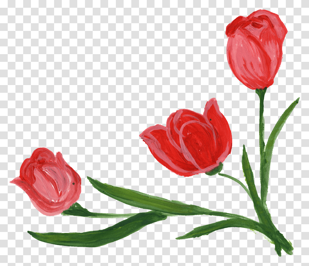 Flower Corner Portable Network Graphics, Plant, Blossom, Petal, Carnation Transparent Png