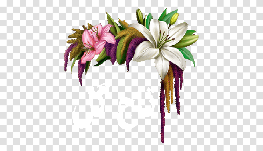 Flower Crown For Android Download Cafe Bazaar Lily Flower Crown, Plant, Graphics, Art, Floral Design Transparent Png