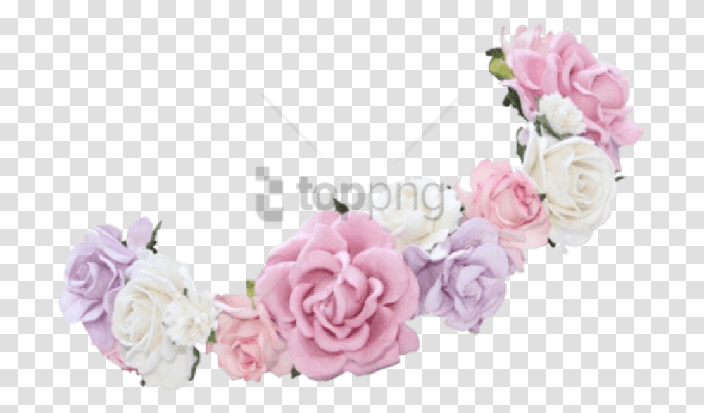Flower Crown Google Search 690102 Flower Crown, Plant, Blossom, Carnation, Petal Transparent Png