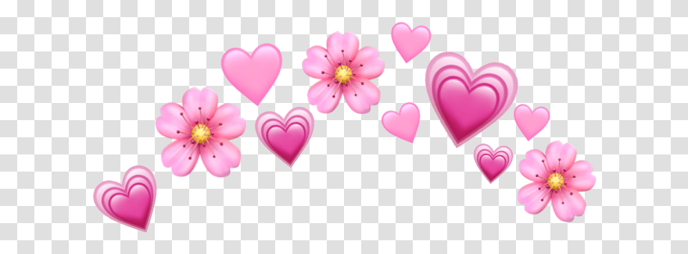 Flower Crown Heart Pink Heart Emoji Crown, Plant, Blossom, Petal, Purple Transparent Png