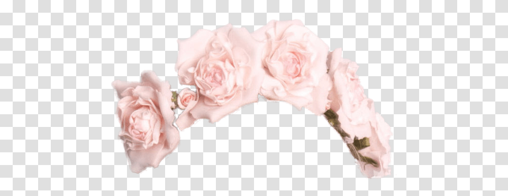 Flower Crown New 111 Crowns For Guys Flower Crown Black Background, Plant, Blossom, Rose, Petal Transparent Png