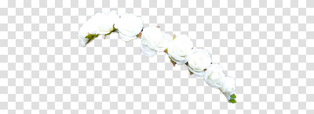 Flower Crown New 206 Crowns Tumblr White Flowers Crown, Plant, Blossom, Petal, Person Transparent Png