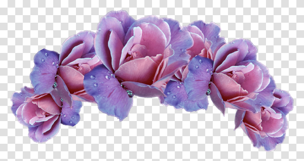 Flower Crown Picture Pink And Purple Flower Crown, Geranium, Plant, Blossom, Petal Transparent Png