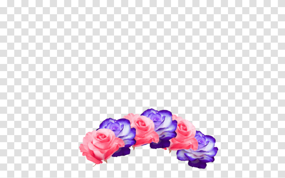 Flower Crown Pink Purple Cute Pretty Beautiful Garden Roses, Plant, Blossom, Head Transparent Png