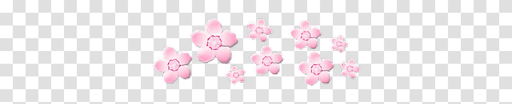 Flower Crown Pink Soft Pinkaesthetic Pink Aesthetic, Petal, Plant, Blossom Transparent Png