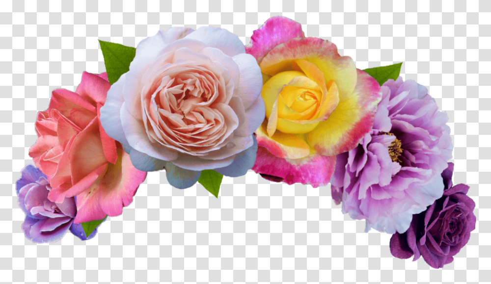 Flower Crown, Plant, Blossom, Rose, Flower Arrangement Transparent Png