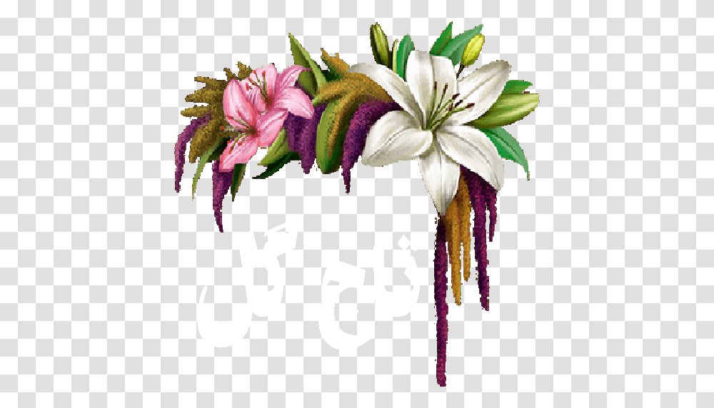 Flower Crown, Plant Transparent Png
