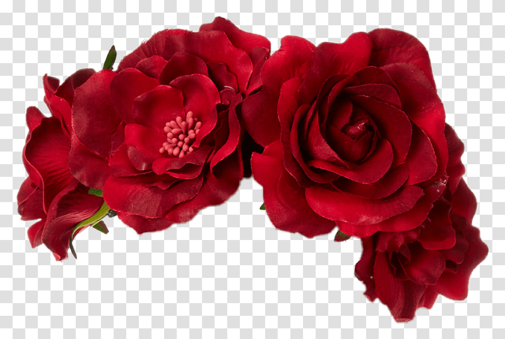 Flower Crown Red Red Flower Crown, Plant, Blossom, Rose, Petal Transparent Png