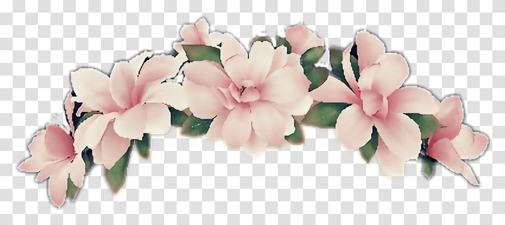 Flower Crown Transpa Clipart Free Ya Webdesign Flower Crown Clip Art, Petal, Plant, Hair Slide, Accessories Transparent Png