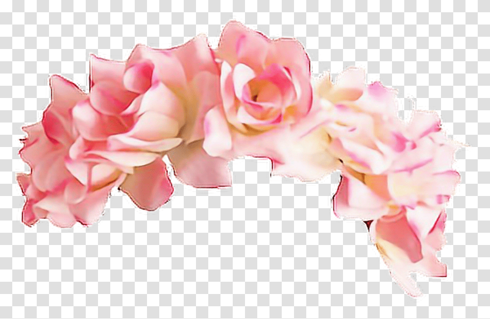 Flower Crown Tumblr Pink Flower Crown, Plant, Petal, Blossom, Carnation Transparent Png