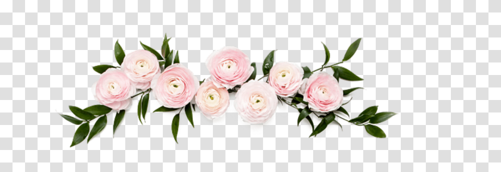 Flower Crown Tumblr Rose Leaf Leafs Flower Dusty Pink Flowers, Plant, Blossom, Petal, Floral Design Transparent Png