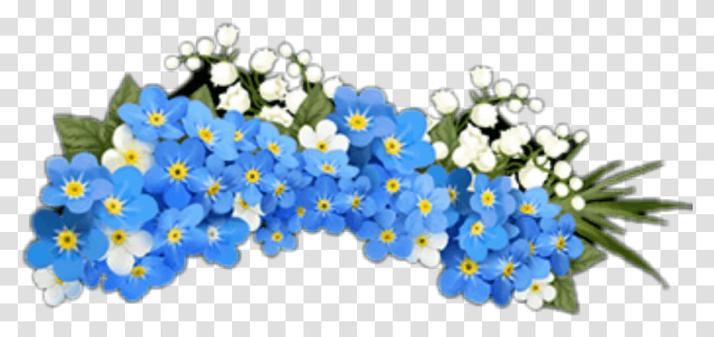 Flower Crowns Flores Flowers Flower Crown Flowercrown Alpine, Anemone, Plant, Blossom, Aster Transparent Png