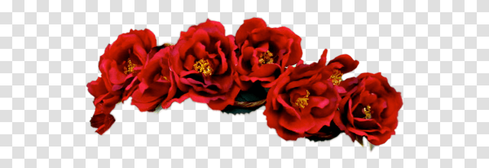 Flower Crowns Flower Crown Red, Plant, Rose, Petal, Pollen Transparent Png