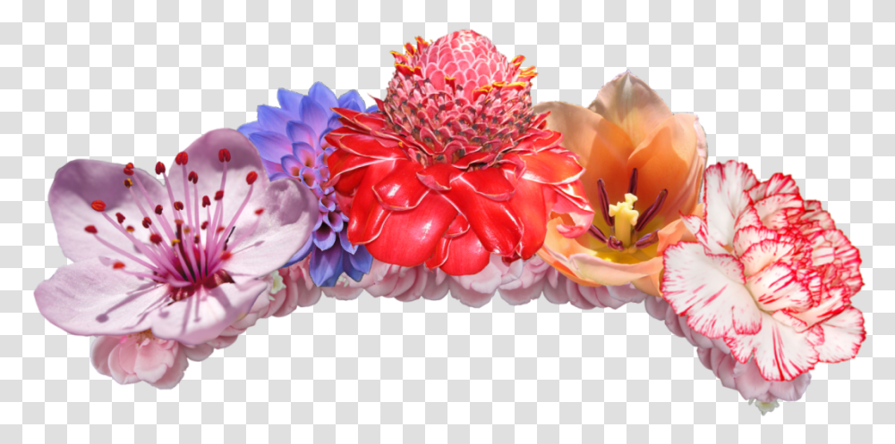 Flower Crowns Image Flower Emojis Background, Petal, Plant, Dahlia, Peony Transparent Png