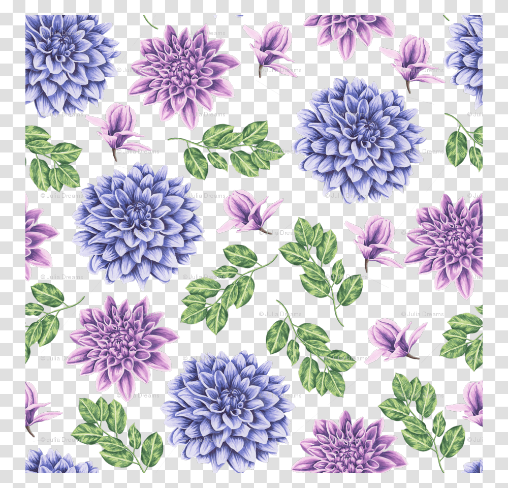 Flower, Dahlia, Plant, Blossom, Purple Transparent Png