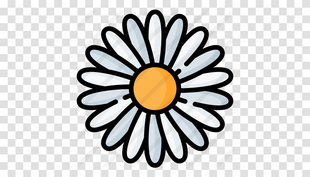 Flower Daisy Outline, Plant, Daisies, Blossom, Aster Transparent Png