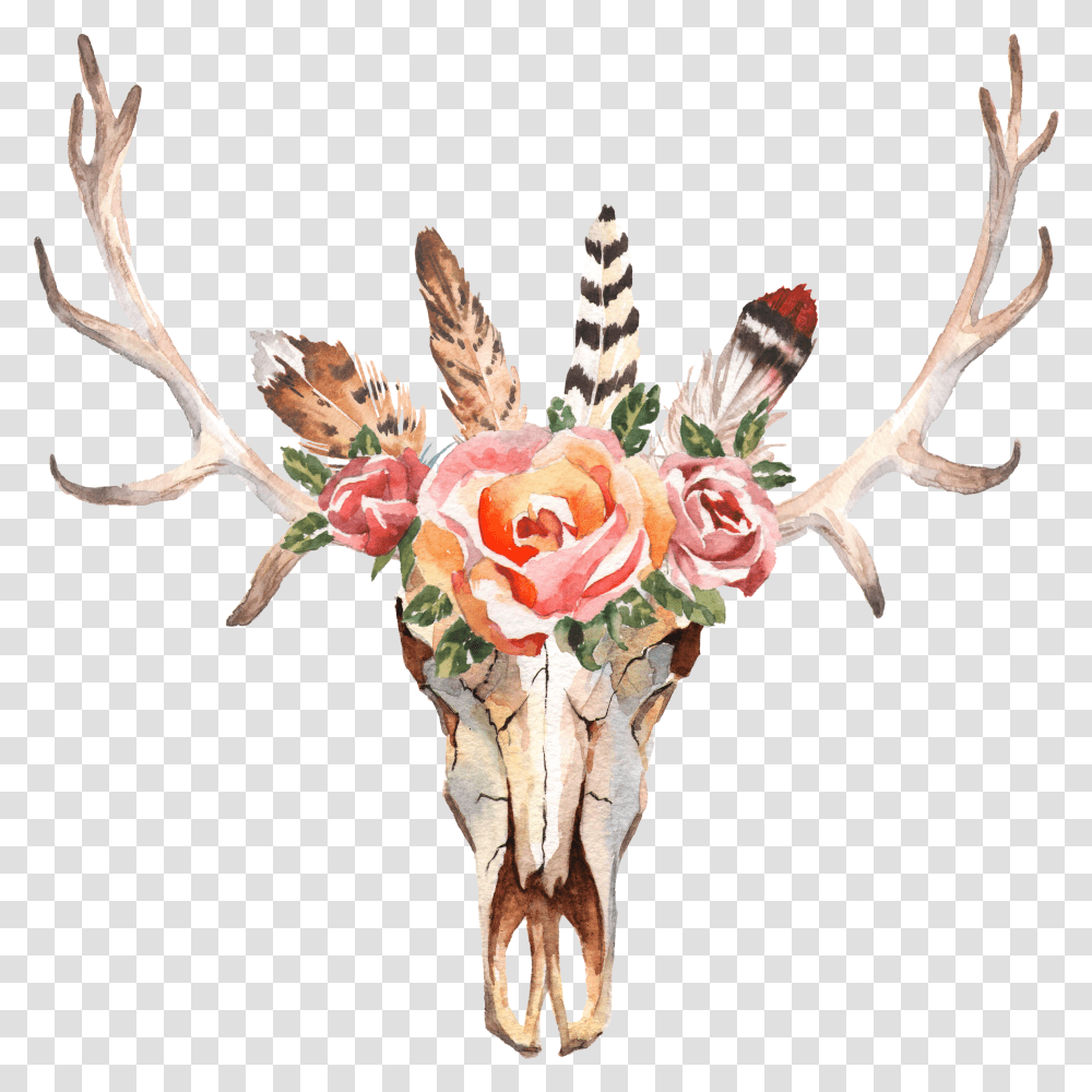 Flower Deer Antler Background Transparent Png
