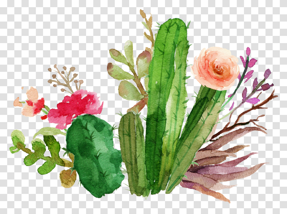 Flower Design Flower Cactus Watercolor, Plant, Blossom Transparent Png